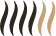 Homogenita 4