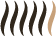 Homogenita 5